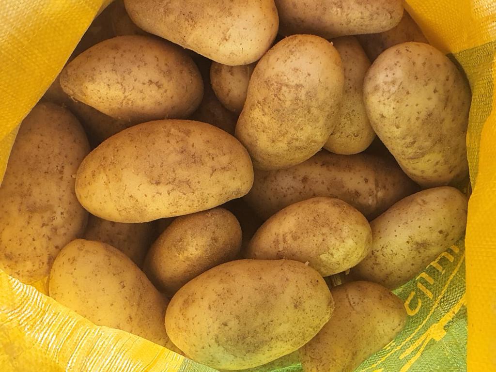 Product image - 
We are  ( Kemet farms )  here  in Egypt 

we export all agricultural crops with high quality .
#Fresh_potatoes
● we can Delivery your request for any country
● Grade A
● packing : 10 , 15 or 25 kg 
● for Orders please send your message call Us +201271817478
Or send Email : kemetfarmsdonia@gmail.com
● Export  manager
mrs/ Donia Mostafa
